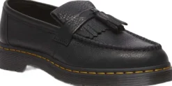 Adrian Ys Black Ambassador