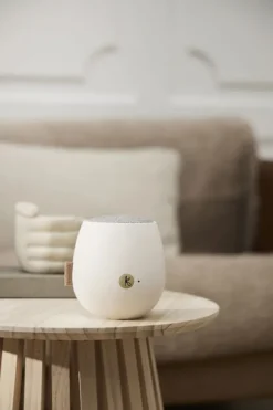 aJAZZ 2 Bluetooth Högtalare