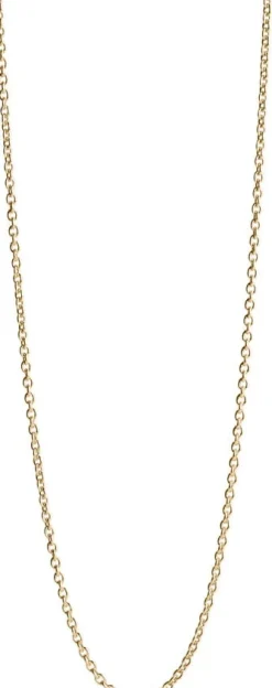 Anchor Chain, gold plated sterling silver - 42 CM