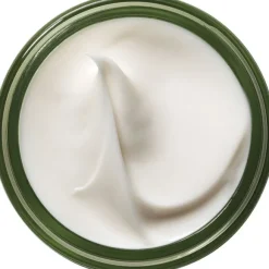 A Perfect World Antioxidant Moisturizer with White Tea