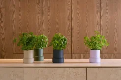 Billund self-watering pot