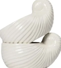 Bowl/Cup Shelley2pcs/set