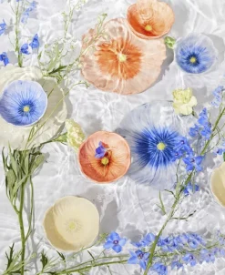 Bowl Poppy