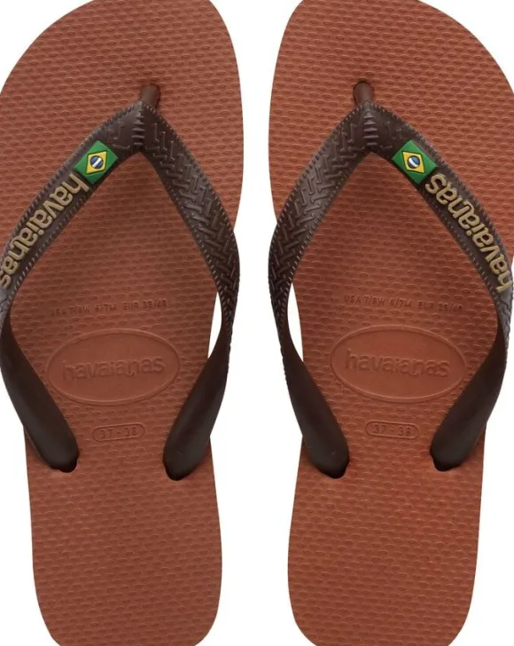 Brasil Logo
