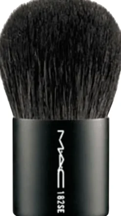 Brushes - 182S Buffer