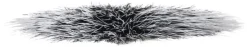 Brushes - 184S Duo Fibre Fan