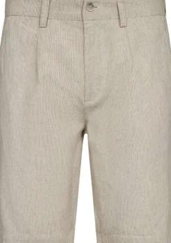 BS Darion Regular Fit Shorts