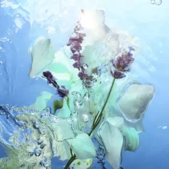 Calm Bliss - Eau de Parfum
