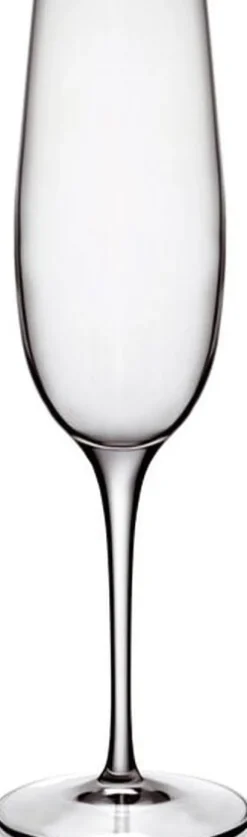 Champagneglass Palace 23,5 cl 6 stk. Klar