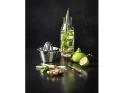 Citruspress 50 cl 14 x 12,2 cm Stål