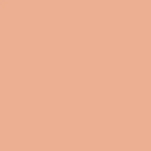 Color Corrector - Complexion