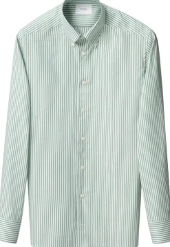 Contemporary Fit Mid green Striped Signature Oxford Shirt