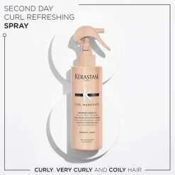 Curl Manifesto Refresh Absolu Leave-In