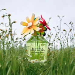 DAISY WILD INTENSE