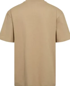 Dapolino
