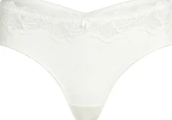 Diva bx string r