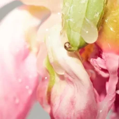 EMIL ÉLISE Painting it Sweet EdP 100 ml