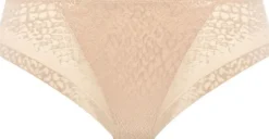 ENVISAGE BRIEF