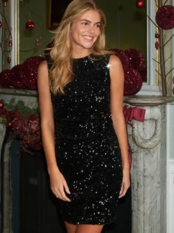 Fanya Velvet Sequins Dress