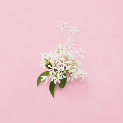Gucci Flora Gorgeous Jasmine Eau de Parfum