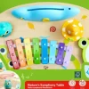 Hape NatureS Symphony Tab