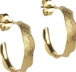 Hoops, Ane Small