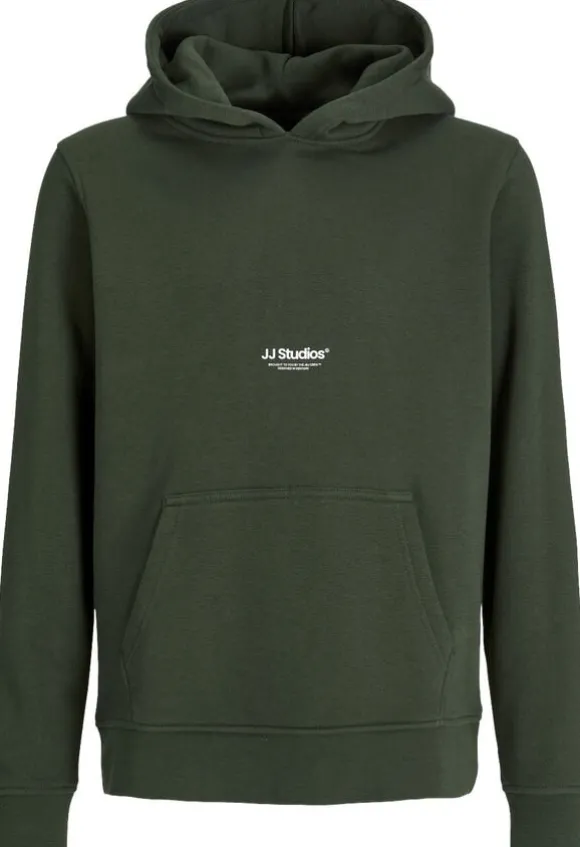 JJESOHO SWEAT HOOD NOOS JNR