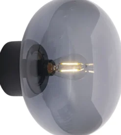 Karl-Johan Wall Lamp, BL Stain Oak w. Smoke Glass