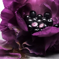 La Nuit Trésor Le Parfum