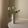 Large Poppy Flower