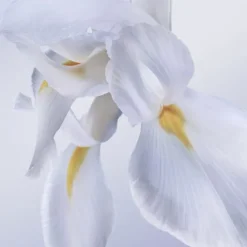 La vie est belle ROSE EXTRAORDINAIRE Eau de Parfum