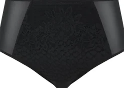 Maris Full Brief