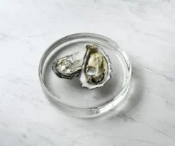 Mass Dish �17 Glass