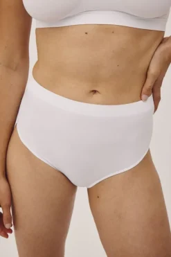 Mellanie 6 Seamless Maxi Brief GRS