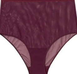 Mesh Highwaist Briefs
