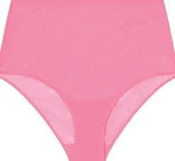 Mesh Highwaist Briefs