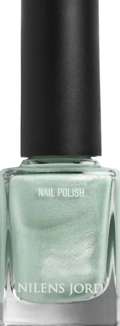Nail Polish Northern Light