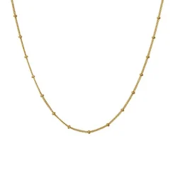 Nala Choker Necklace