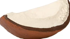 Oli & Carol - Bidering - Coco the Coconut