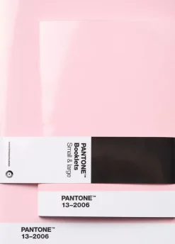 Pantone BOOKLETS SET OF 2 DOTTED - Light Pink