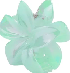 Plumeria Pastel Big