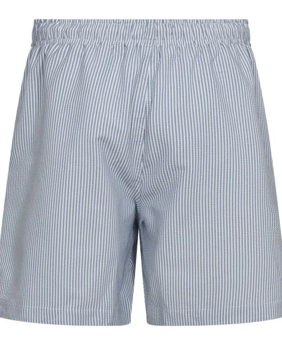 Porter 1 GRS