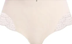 PRIYA FULL BRIEF