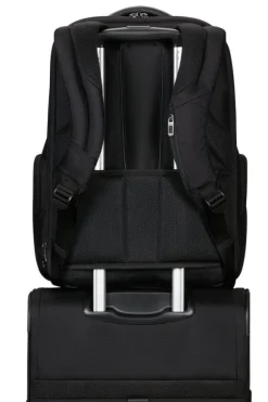 Pro-Dlx 6