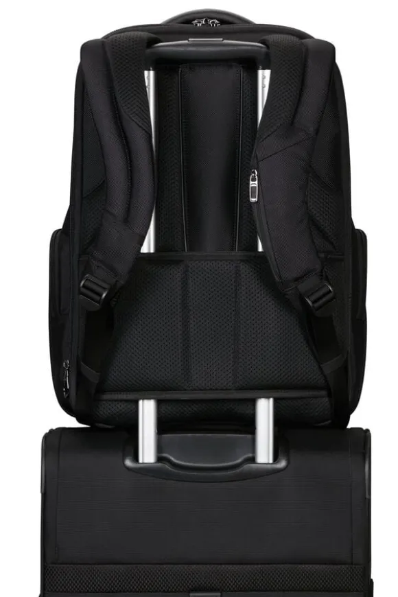 Pro-Dlx 6