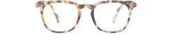 READING #E Blue Tortoise