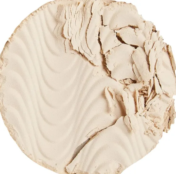 Revolution Pro CC Perfecting pressed powder