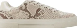 SADDIE CUPSOLES