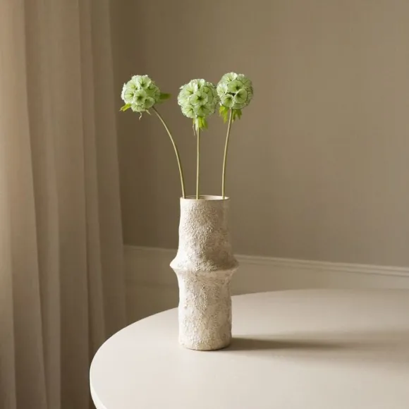 Scabiosa Seed Pod Flower