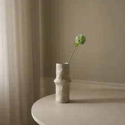 Scabiosa Seed Pod Flower